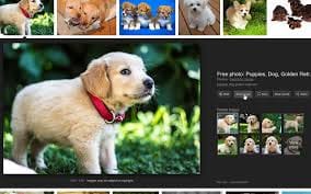 Test caption